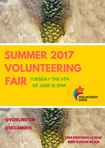 Supersized Summer Volunteering Fair 2017!