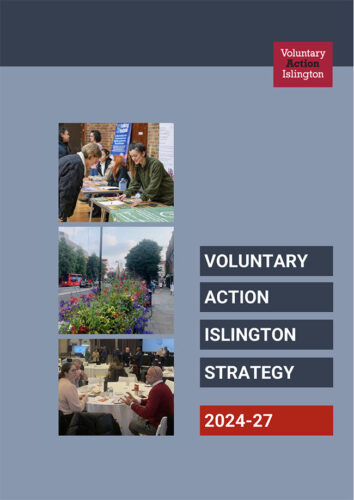 VAI Strategy 2024-27 VAI Strategy 2024-27 document cover